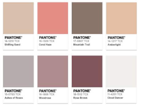 Paleta Comfort Zone